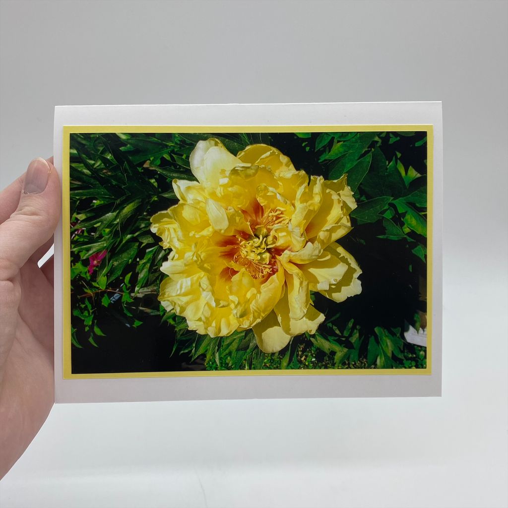Photography Cards