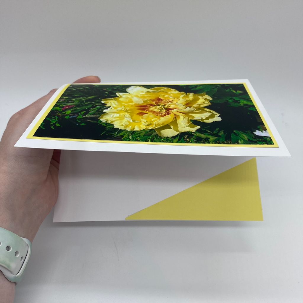 Photography Cards