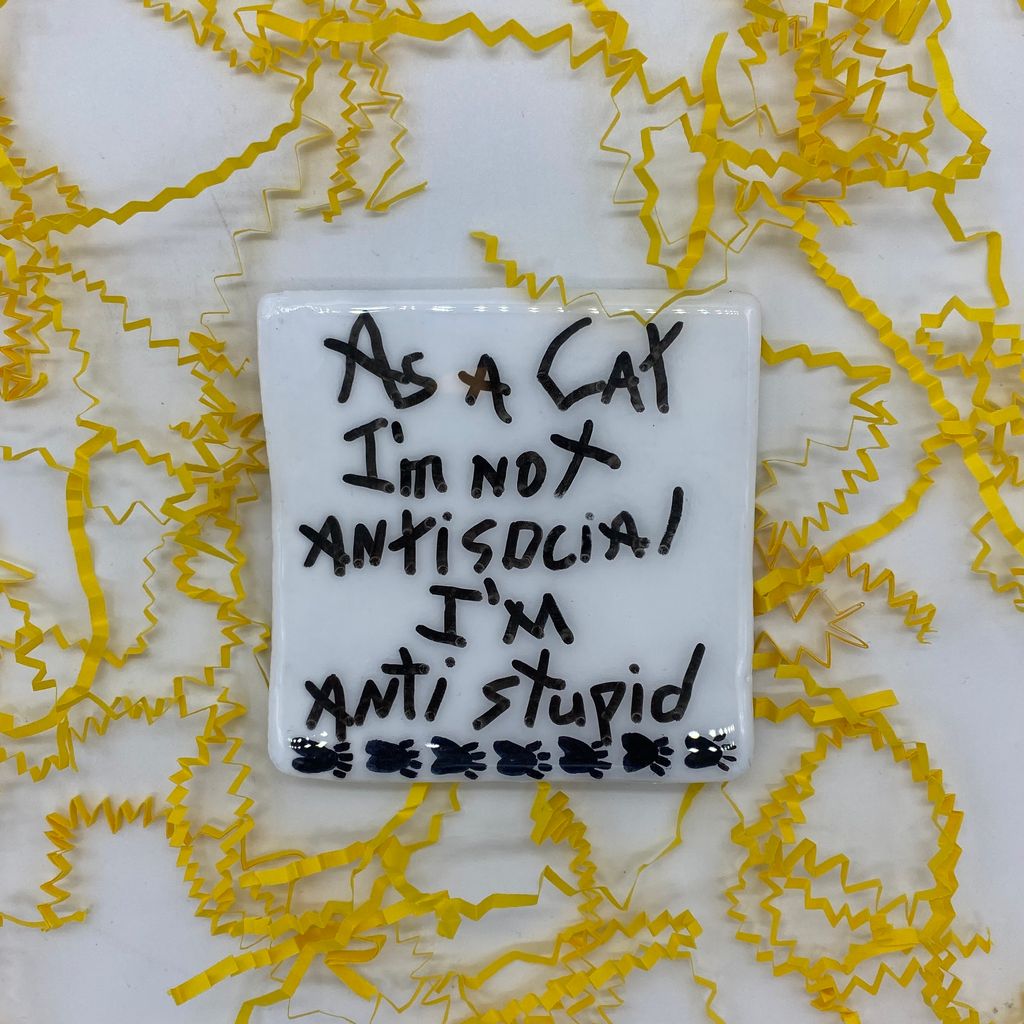 The Hairball Collection - "As a cat I'm not antisocial I'm anti stupid"