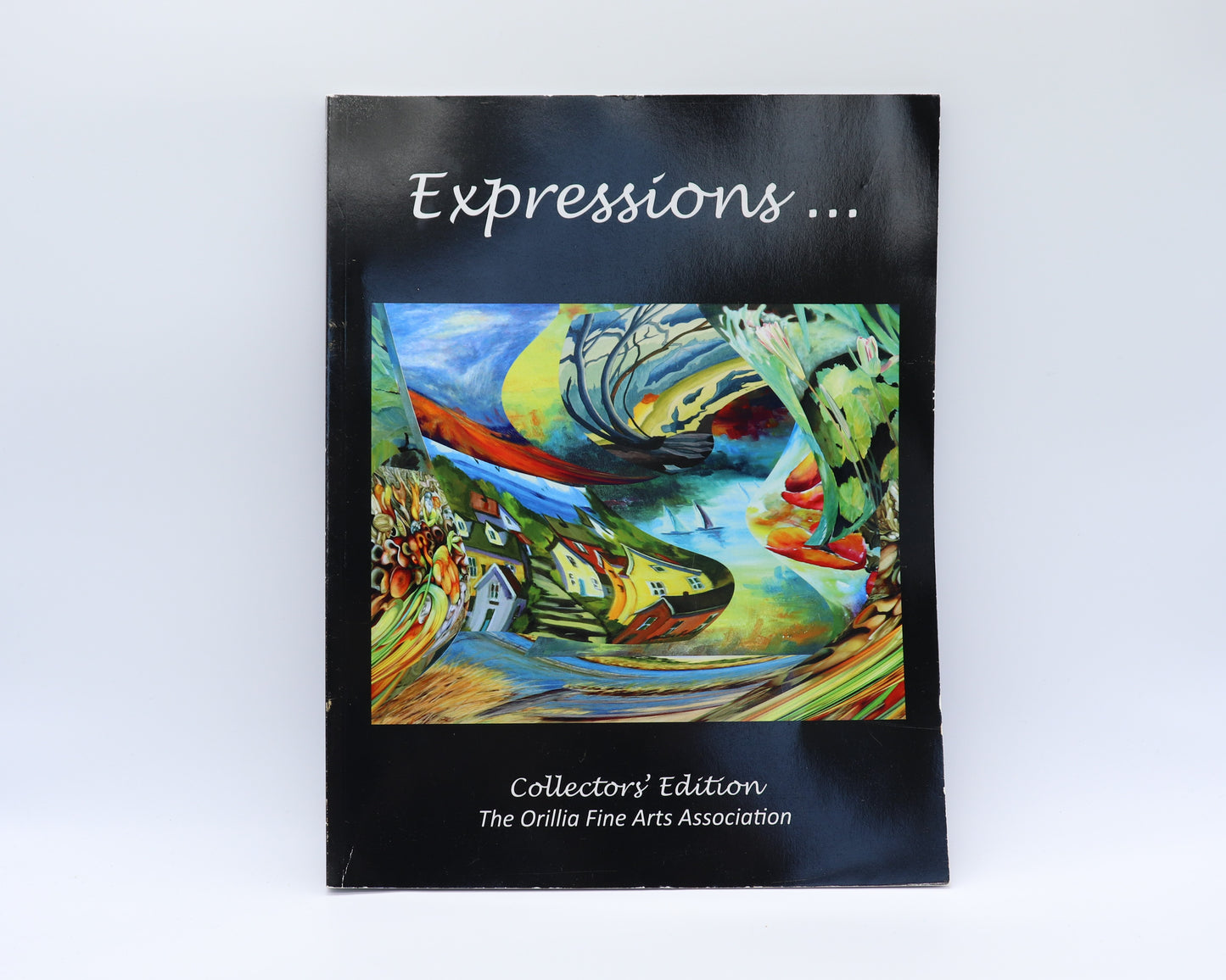 Expressions Collectors Edition The Orillia Fine Arts Association